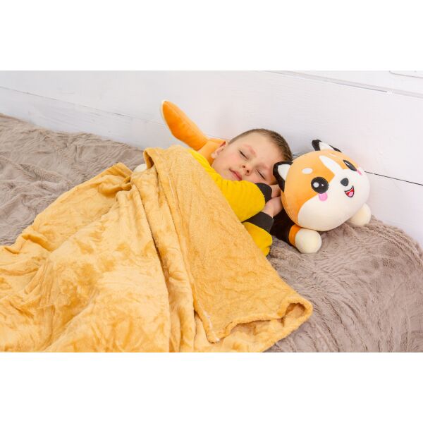 

Плед MirSon детский 1072 Cat Orange + подушка 120х160 см италия, флис