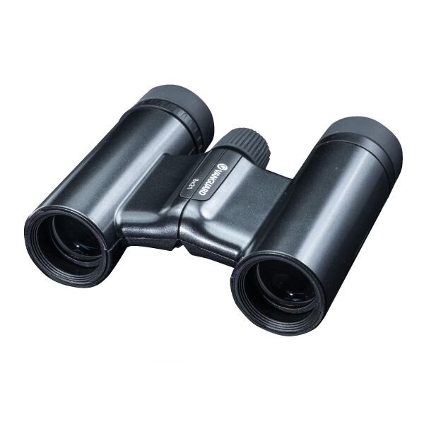 

Бинокль Vanguard Vesta Compact 8x21 WP Black Pearl (Vesta 8210 BP)