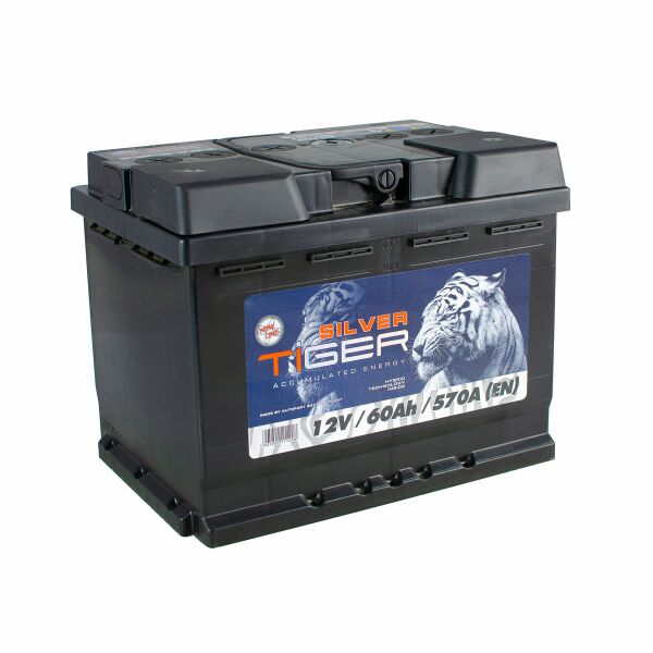 

Акумулятор 60 Аh/12V Silver Tiger Euro(0) (AFS060-S00)
