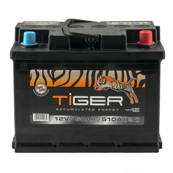 

Акумулятор 60 Ah/12V Euro (0)Tiger (AFS060-00)