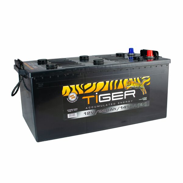 

Акумулятор Tiger 220 Ah/12V (3) (AFS220-00)