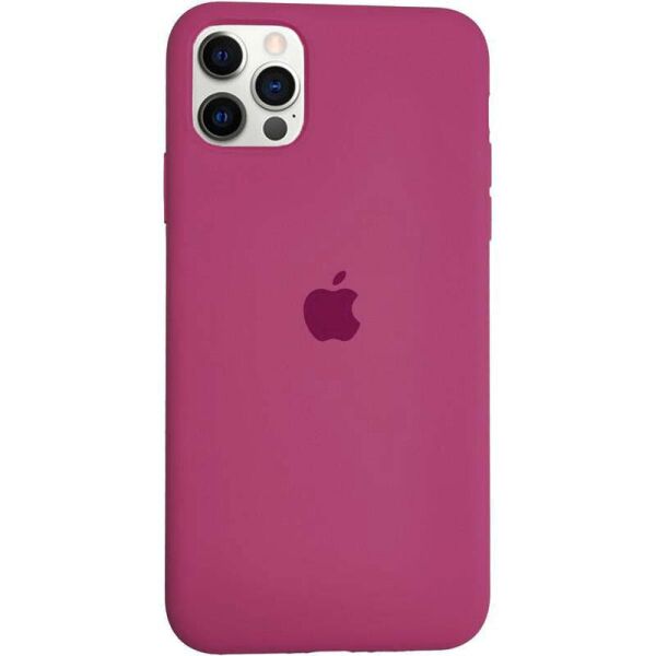 

Чехол Silicone Case для Apple iPhone 12 Pro Max силиконовый, Dragon Fruit