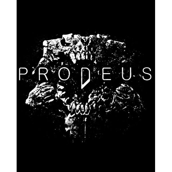 

Игра Prodeus для ПК (Ключ активации Steam)