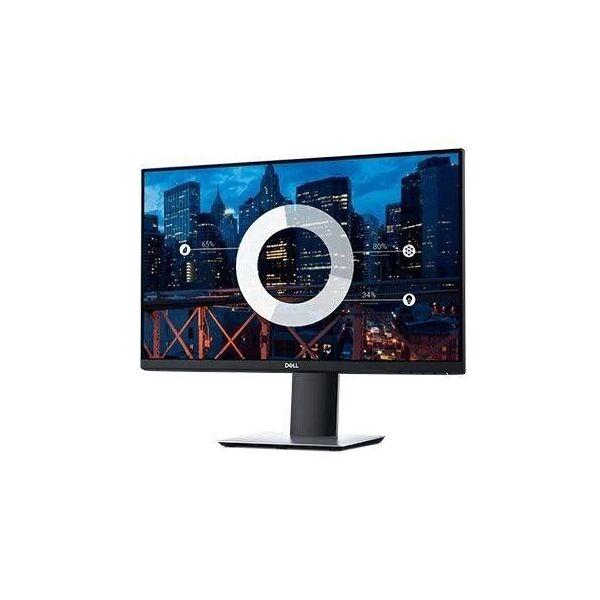

Dell P2419H (210-APWU)
