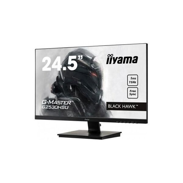 

Iiyama G2530HSU-B1