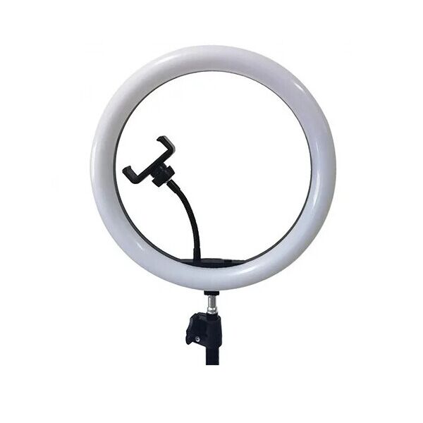 

Кольцевая светодиодная LED лампа RIAS SMN-12 30см с зеркалом и держателем USB управление на проводе