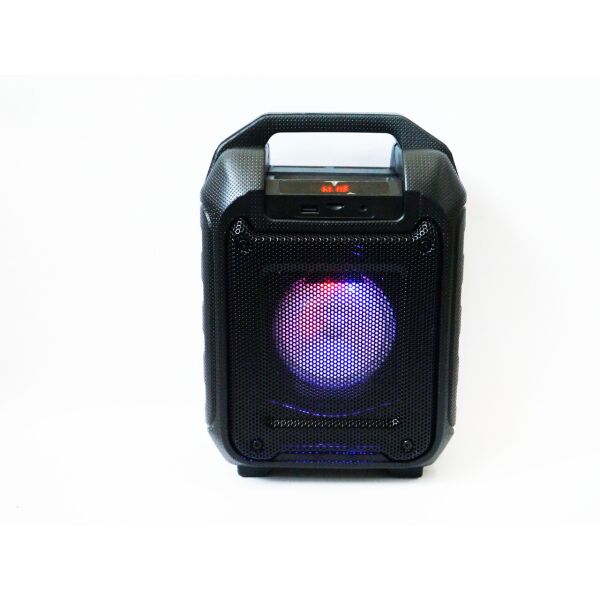 

Портативная Bluetooth колонка RIAS B31 чемодан с караоке Black (4_00164)