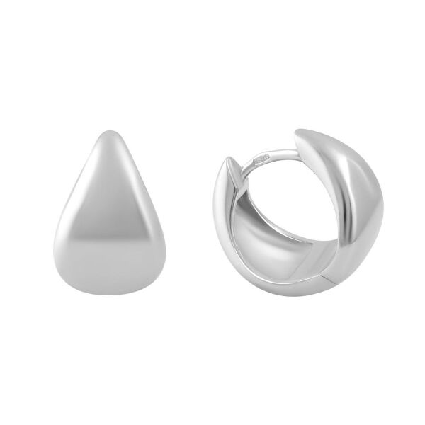 

Серьги из серебра (1756605)