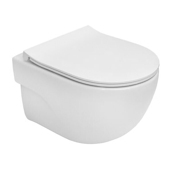 

Унитаз подвесной Roca Meridian Rimless с сиденьем Slim Urea/Duroplast Белый A34H242000