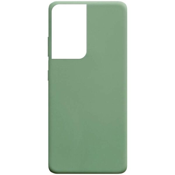 

Чехол накладка TPU Candy для Samsung Galaxy S21 Ultra Mint Gum (49055305FA)