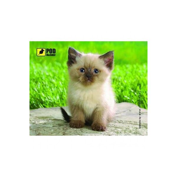 

Килимок Pod Mishkou Сиамский котик