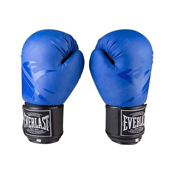 

Боксерские перчатки матовые синие 8oz Everlast DX-3597