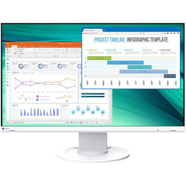 

Монитор EIZO EV2460-WT