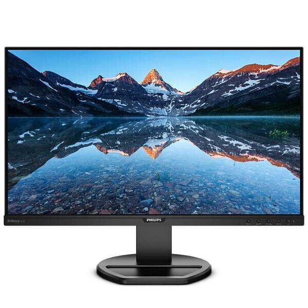 

Монитор Philips 252B9/00
