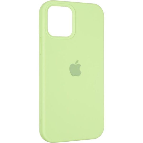 

Чехол Fiji Silicone Case для Apple iPhone 12 бампер накладка Full Soft Green