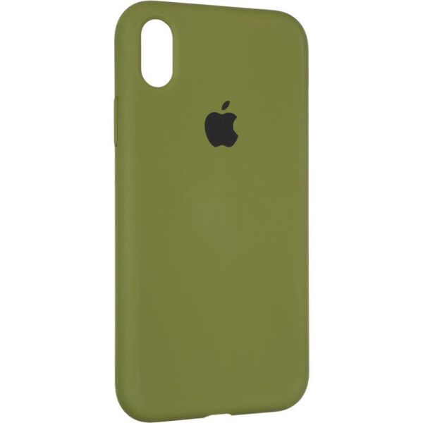 

Чехол Fiji Silicone Case для Apple iPhone XR бампер накладка Full Soft Pinery Green