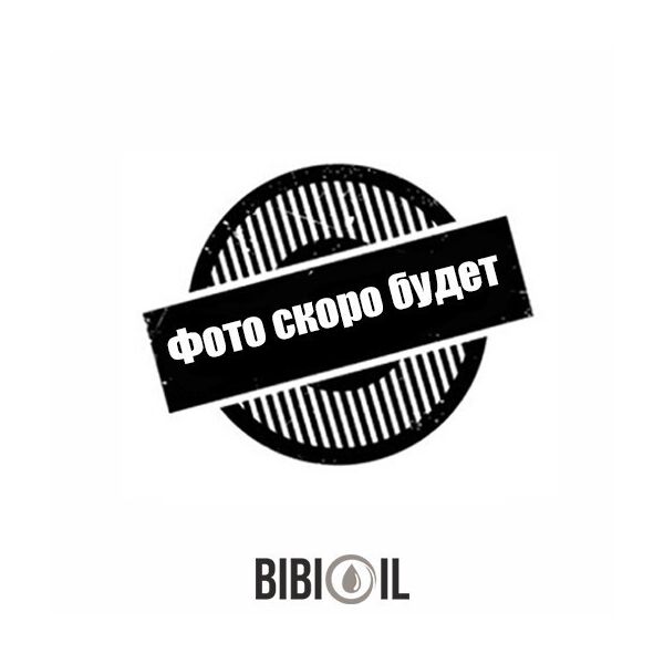 

Моторное масло FAVORIT Diesel М10Г2К-М 5л.API CС