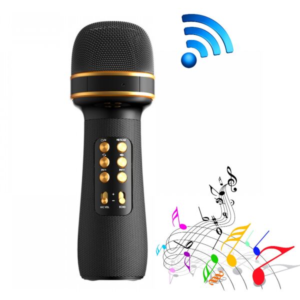 

Беспроводной караоке микрофон для дуэта Wster WS898, USB, microSD, AUX, FM, Bluetooth, TWS, черный