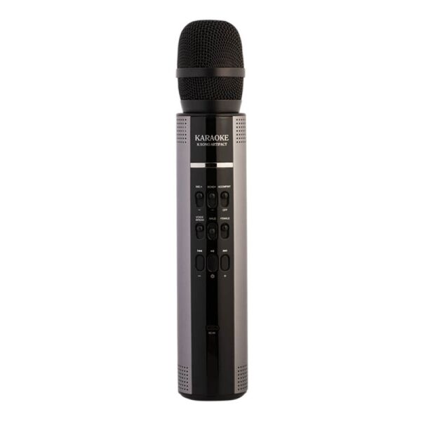 

Bluetooth колонки Semetor S603 Pro Karaoke Stereo Silver