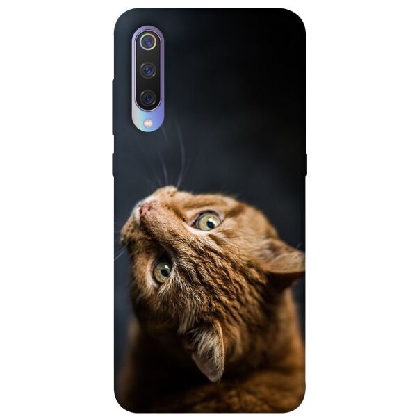 

Чехол itsPrint Рыжий кот для Xiaomi Mi 9