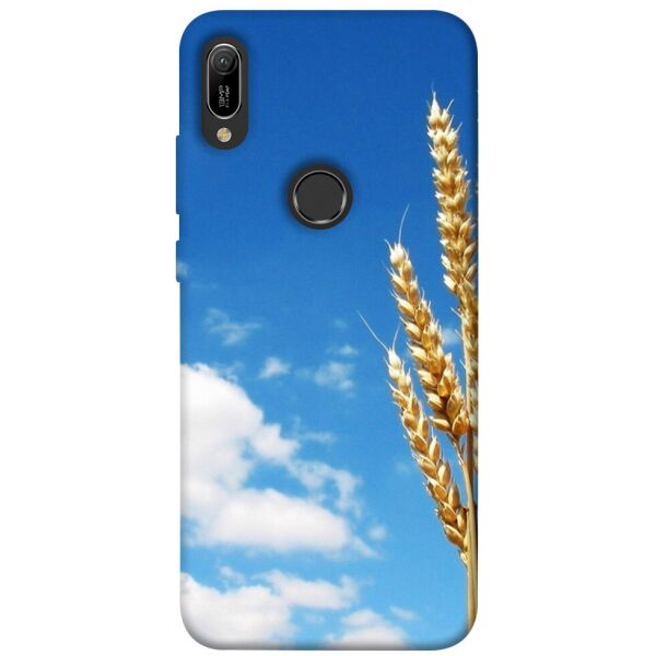 

Чехол itsPrint Пшеница для Huawei Y6 (2019)