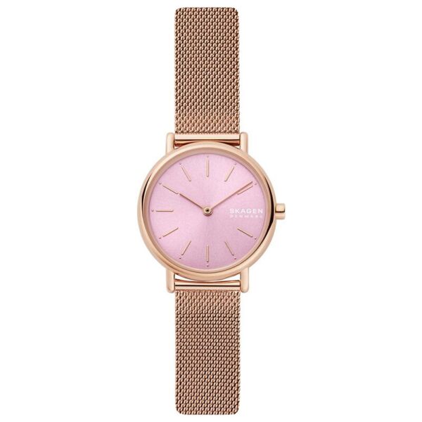 

Женские Часы Skagen SKW2975