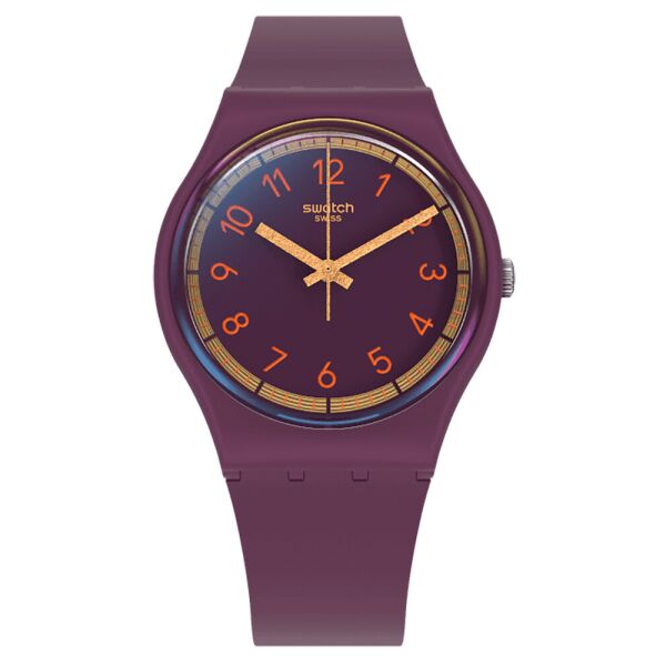 

Женские Часы Swatch SVHV100-5300