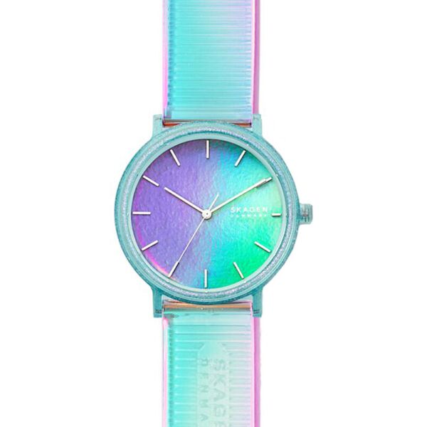 

Мужские Часы Skagen SKW6642
