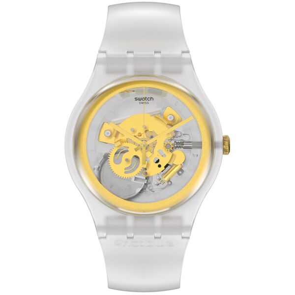 

Мужские Часы Swatch SVIZ102-5300