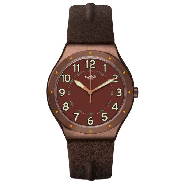 

Мужские Часы Swatch YWC100