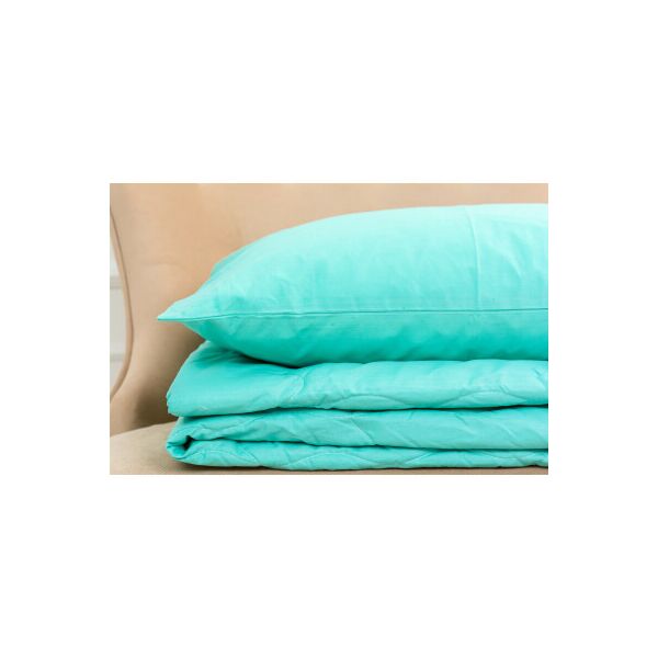 

Одеяло MirSon Летний комплект 2692 Шерсть 11-2208 Mint одеяло 140x205 см + (2200003115451)