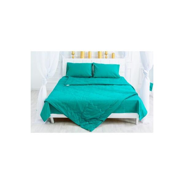 

Одеяло MirSon антиаллергенное Летнее с Eco-Soft 2337 Caterina 110x140 (2200003027587)