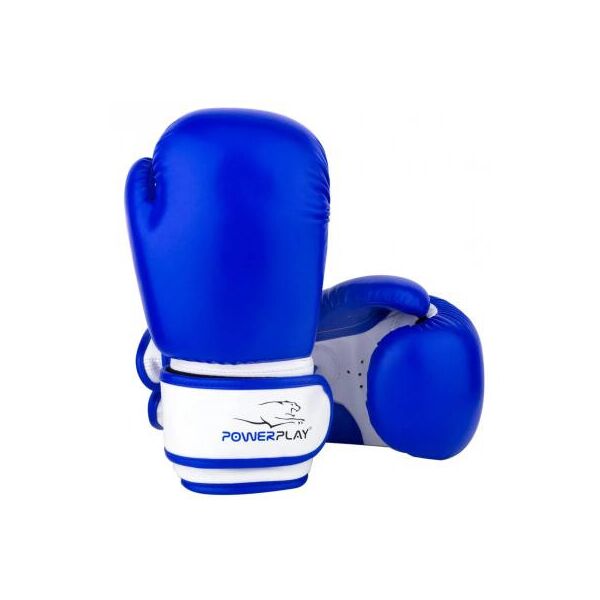

Боксерские перчатки PowerPlay 3004 JR 6oz Blue/White (PP_3004JR_6oz_Blue/White)