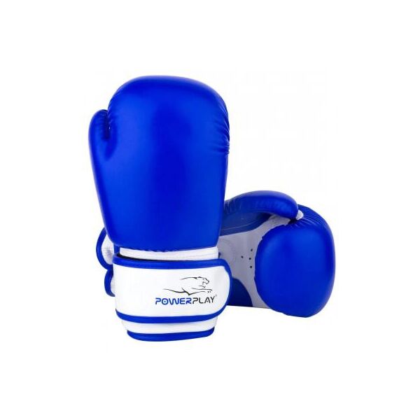 

Боксерские перчатки PowerPlay 3004 JR 8oz Blue/White (PP_3004JR_8oz_Blue/White)