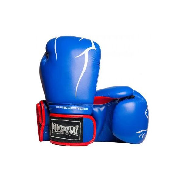 

Боксерские перчатки PowerPlay 3018 8oz Blue (PP_3018_8oz_Blue)