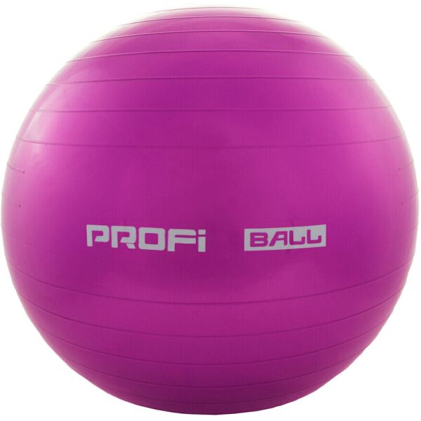 

Фитбол мяч для фитнеса Profi Ball 65 см усиленный 0382 Violet