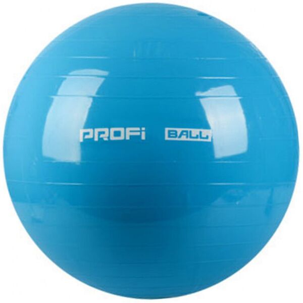 

Фитбол мяч для фитнеса Profi Ball 65 см усиленный 0382 Blue