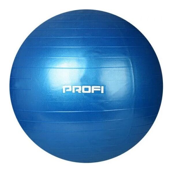 

Мяч для фитнеса 75см, фитбол Profiball MS 1541, синий