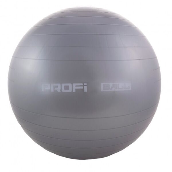 

Фитбол мяч для фитнеса Profi Ball 65 см усиленный 0382 Gray