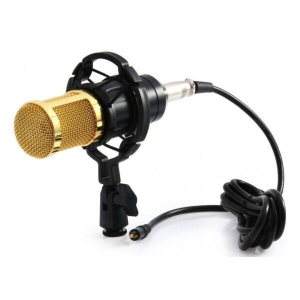 

Студийный микрофон MHZ M-800