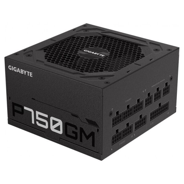 

Блок питания Gigabyte P750GM