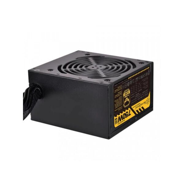 

Блок питания SilverStone STRIDER ET750-G 750W (SST-ET750-G)