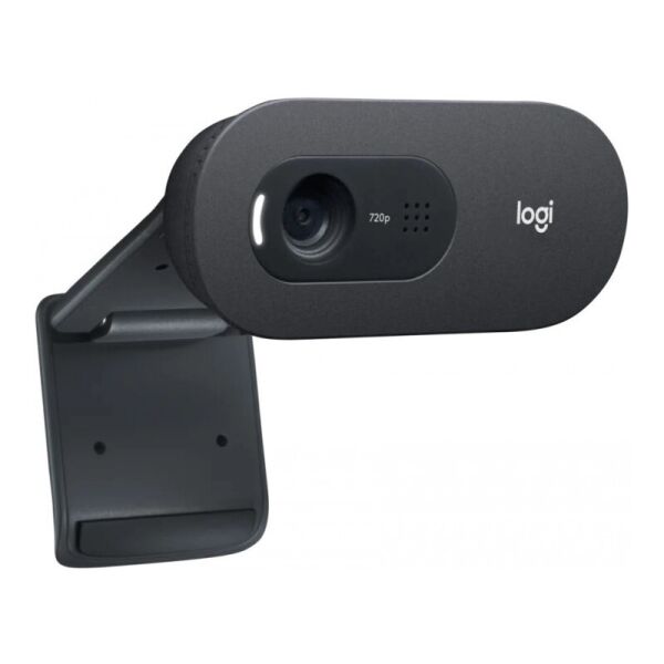 

Веб-камера Logitech C505e (960-001372)