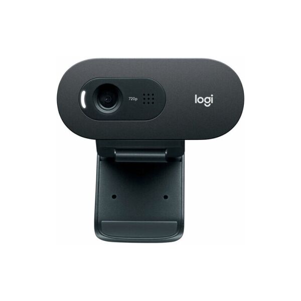 

Web-камера Logitech C505 (960-001364)
