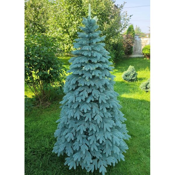 

Новогодняя елка пышная 180 cм HouseWood Швейцарская литая с подставкой (голубая)