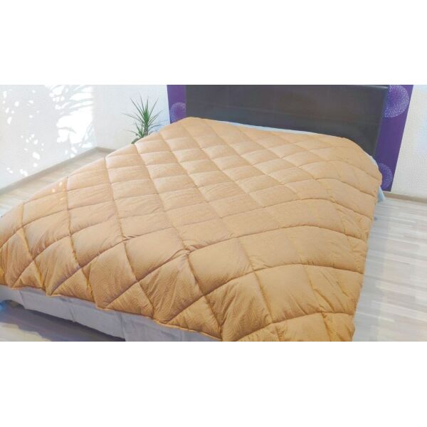 

Одеяло зимнее ТЕП. Balak Home DREAM COLLECTION ЕМBOSSED капучино-150х210
