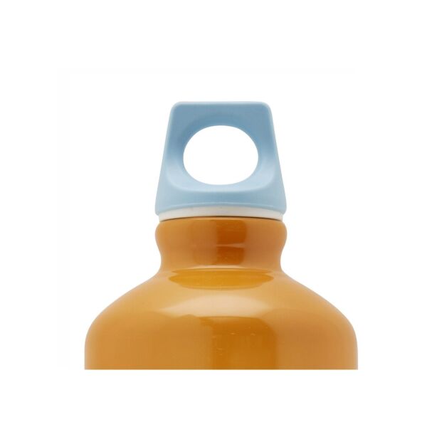 

Крышка LAKEN Cap for Futura Bottles - Color 26mm 8412544046314 (055-B)