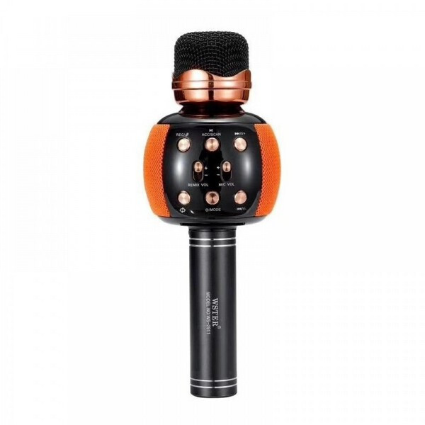 

Микрофон караоке DM Karaoke WS 2911 Оранжевый 184508