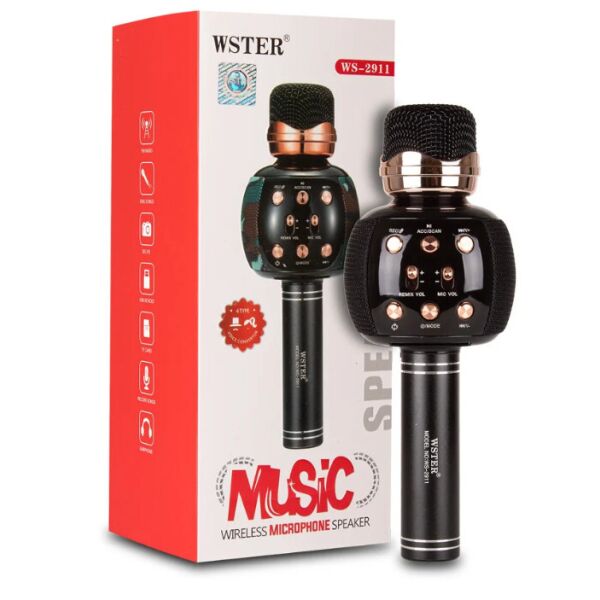 

Микрофон караоке DM Karaoke WS 2911 Черный 170982