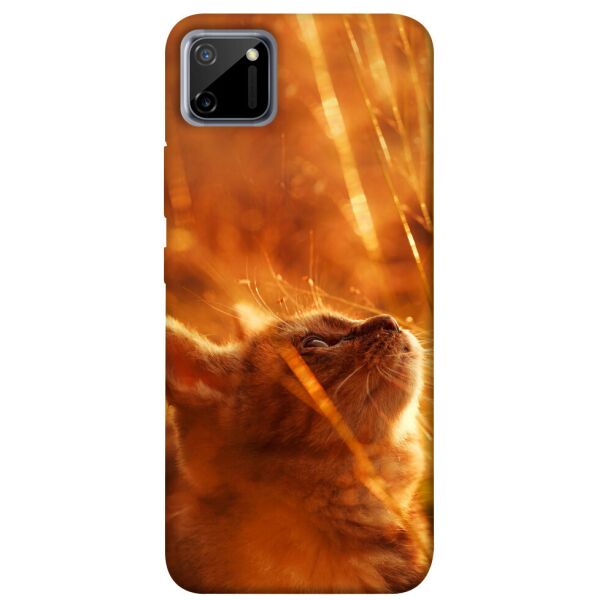

Чехол itsPrint Magic cat для Realme C11